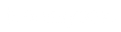 brooksybox logo